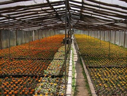 現在の画像に代替テキストがありません。ファイル名: イランという国(112)公園1.jpg