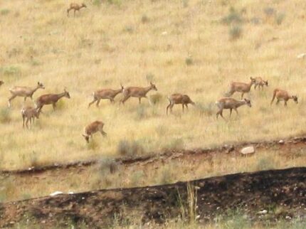 現在の画像に代替テキストがありません。ファイル名: イランという国(112)公園3.jpg