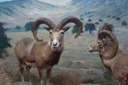 現在の画像に代替テキストがありません。ファイル名: イランという国(112)公園4.jpg