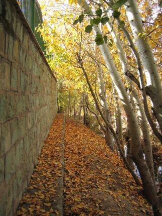 現在の画像に代替テキストがありません。ファイル名: イランという国（１２０）テヘランの秋3.jpg