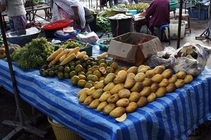 現在の画像に代替テキストがありません。ファイル名: タイで田舎暮らし（３７）朝市に行って来ました4.jpg