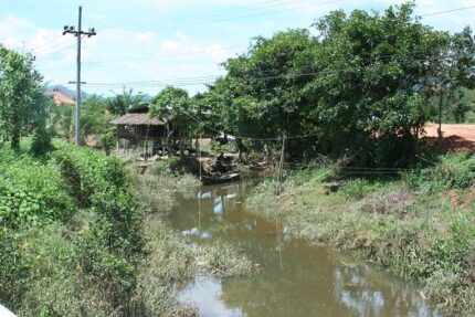 現在の画像に代替テキストがありません。ファイル名: タイで田舎暮らし(42)目標でも考えてみる.jpg