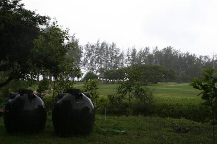 現在の画像に代替テキストがありません。ファイル名: タイで田舎暮らし(49)タイ人家族とお出掛け(2)1.jpg