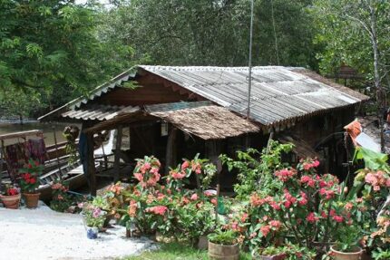 現在の画像に代替テキストがありません。ファイル名: タイで田舎暮らし(59)ただ飯のお礼に行って来ました1.jpg