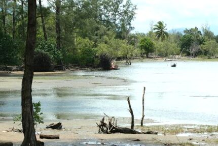 現在の画像に代替テキストがありません。ファイル名: タイで田舎暮らし（６１）アンダマン海2.jpg